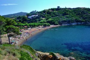 Elba Campeggio Arrighi